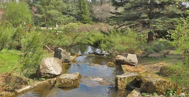 типичный пейзаж японского сада