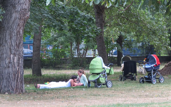 Отдых в парке