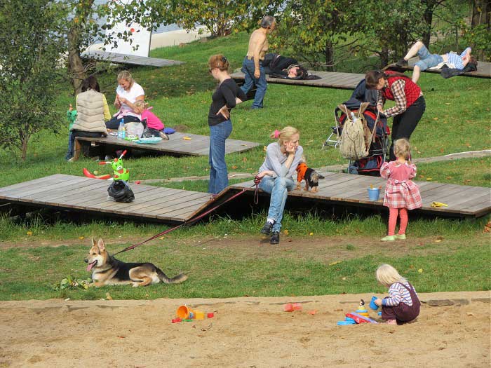 взрослые, дети, собаки отдыхают у реки