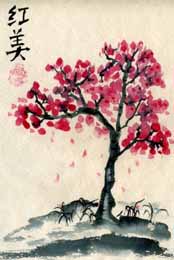 Цветение сакуры, японская гравюра
