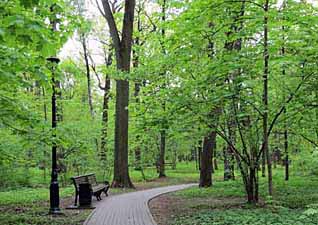 �������� �����